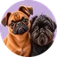 Bogdan i Wanda